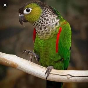 Meet your Posher, Sahar